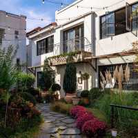 The Beauty of Damyang Meta Provence
