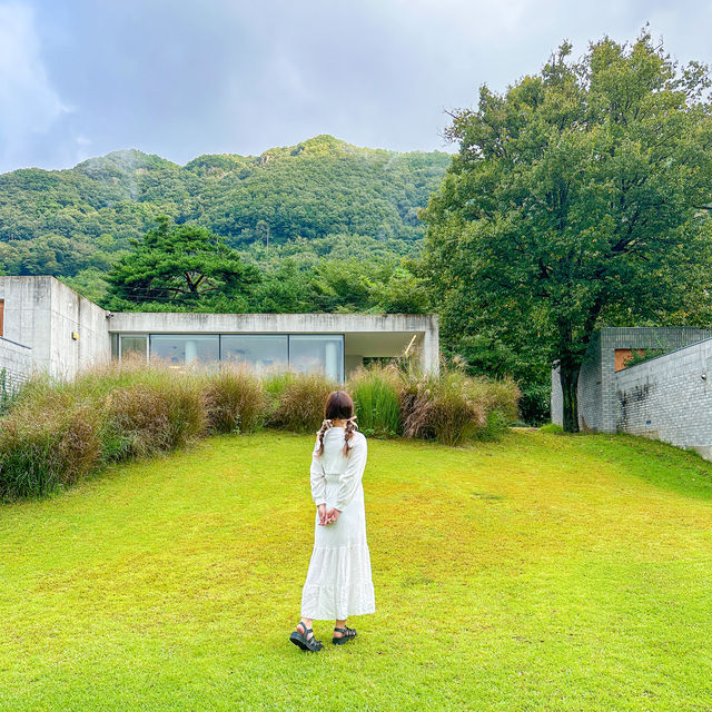 죽녹원 10분거리 계절을 그대로 느낄 수 있는 담양 감성 펜션 호시담🌳