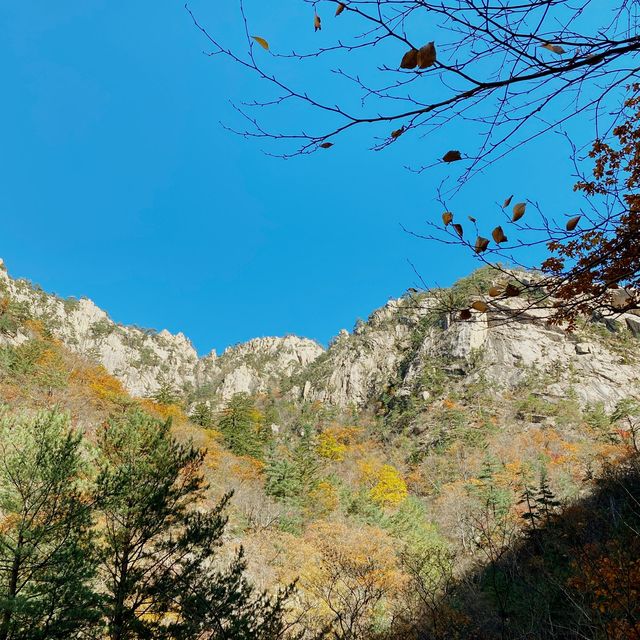 설악산 코스 중 단풍 즐기기 좋은 곳! 