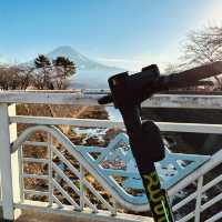 2023河口湖紅葉一個人旅行