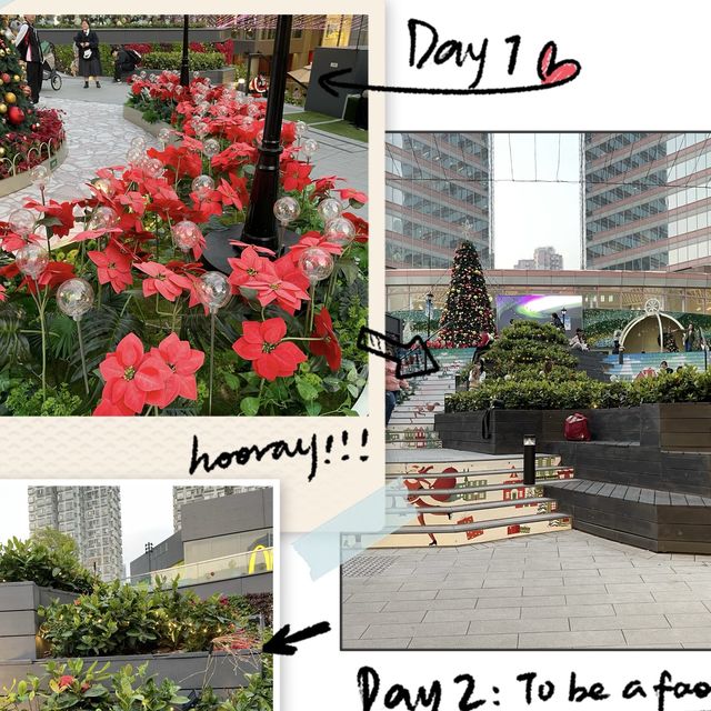 【葵芳新都會廣場：尋找聖誕的冰雪世界】🎄✨