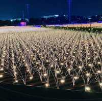 Tokyo Mega Illumination, Shinagawa Tokyo 🇯🇵