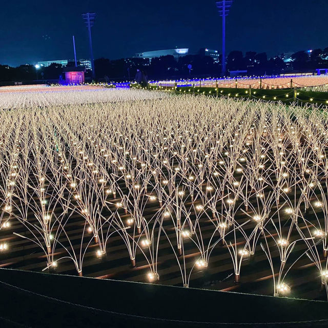 Tokyo Mega Illumination, Shinagawa Tokyo 🇯🇵