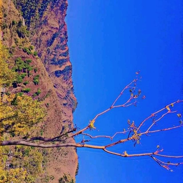 A side view of Kashmir 