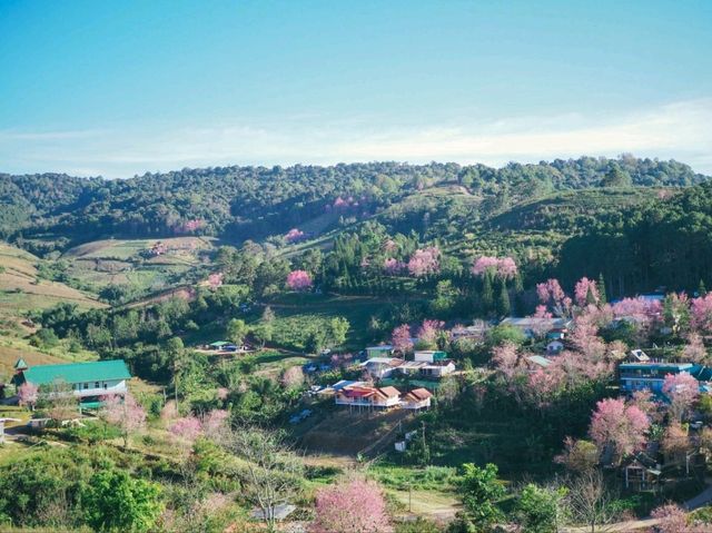 บ้านร่องกล้า