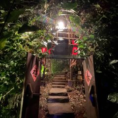 The Tree Top User Photo