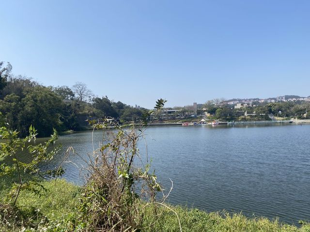 踏青｜新竹｜青草湖🍀