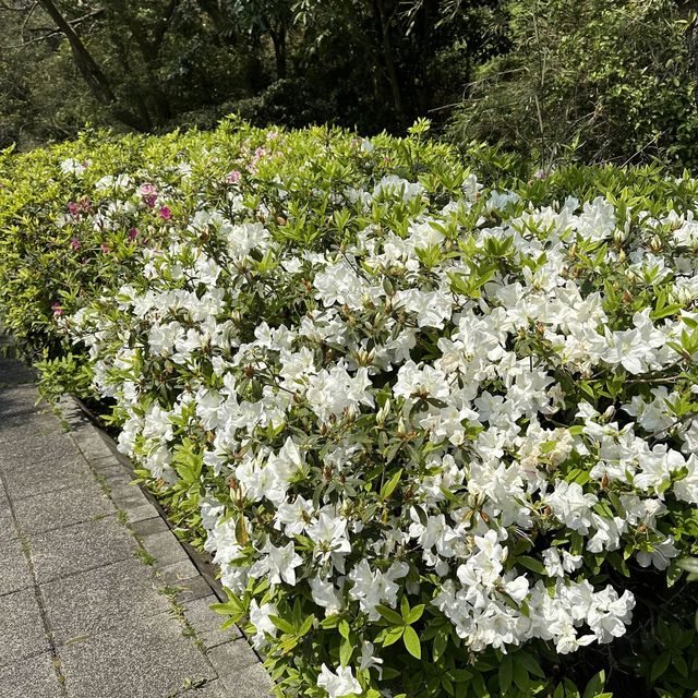 Yangmingshan National Park