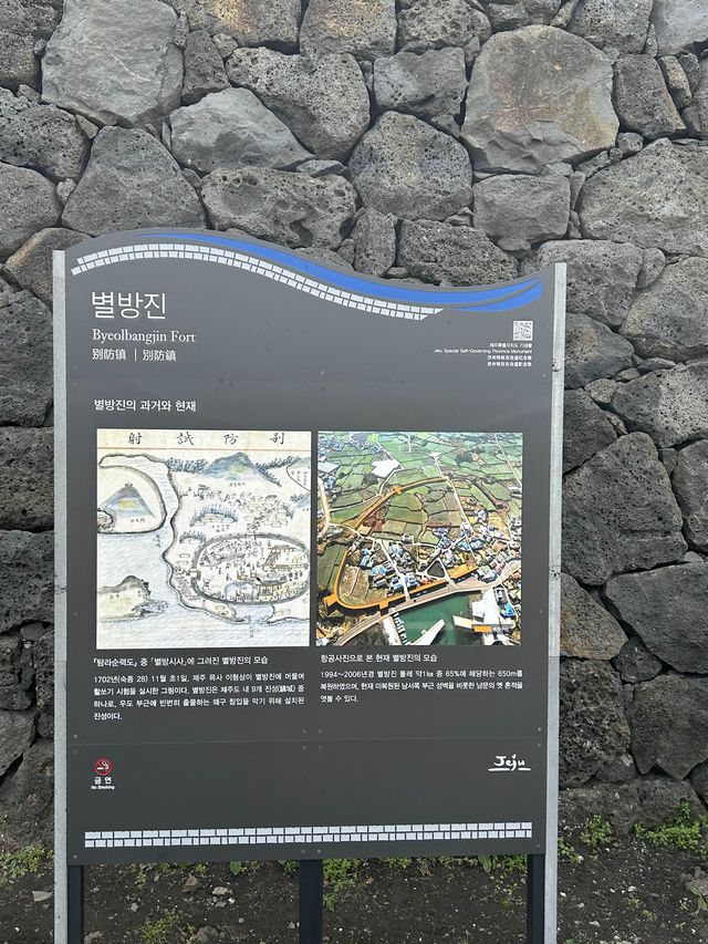 제주 유채꽃 명소 ‘별방진’ 인생사진 이렇게 찍어보세요!✨ 제주 유채꽃 명소 ‘별방진’ 인생사진 이렇게 찍어보세요!✨