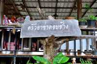 ครัวอาข่าดอยช้าง เชียงราย