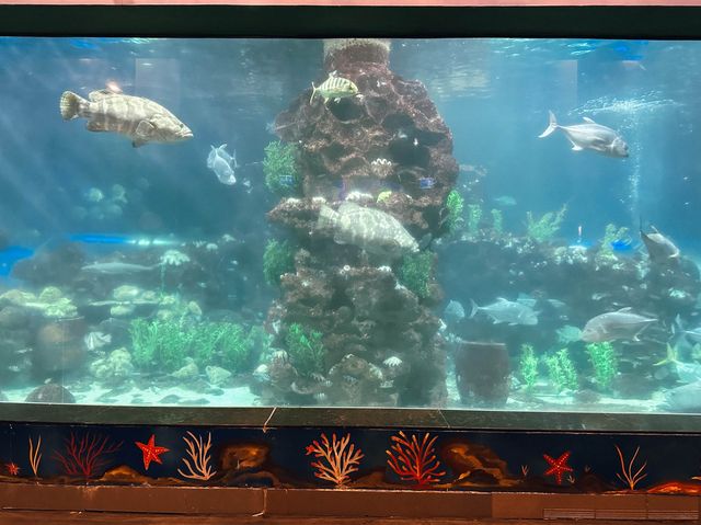 ท่องเที่ยวกับโลกใต้ท้องทะเล Underwater World ญาจาง