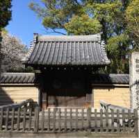 見どころだらけの広大なお寺【聖福寺】