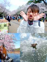 全東京最多櫻花樹的地標「上野恩賜公園」賞櫻打卡必去！