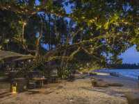 The Arundina ห้องอาหารไทยริมชายหาดคลองม่วง