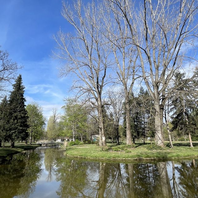 A walk in the beautiful park