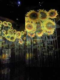 澳門 Teamlab 初體驗
