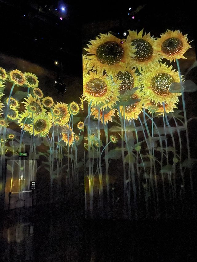 澳門 Teamlab 初體驗