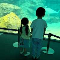 【日本　名古屋港水族館】