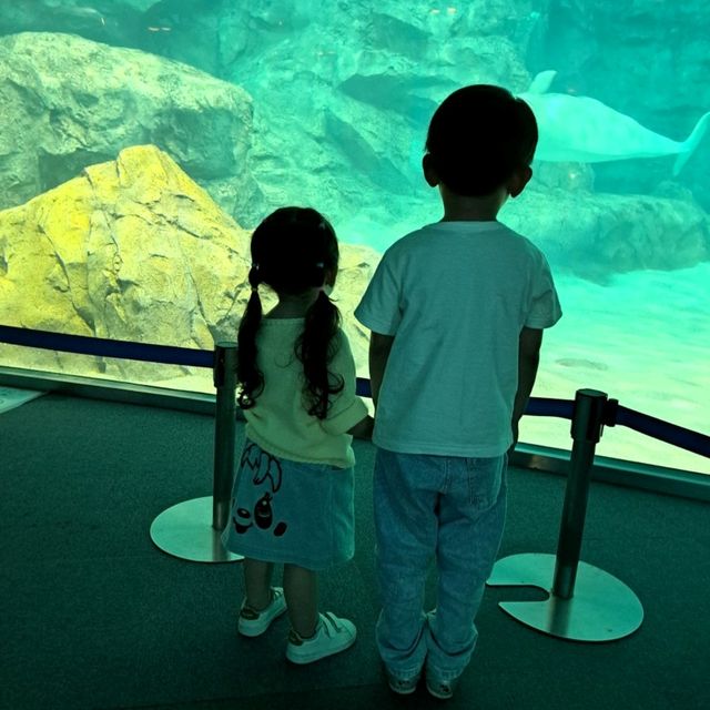 【日本　名古屋港水族館】