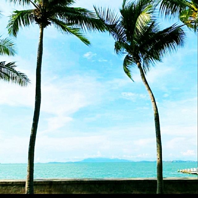 SEA BREEZE & PALM TREES @ PULAU PANGKOR!