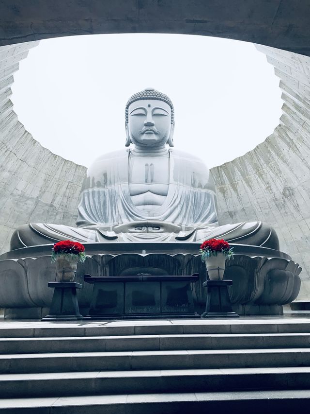 The Hill of the Buddha