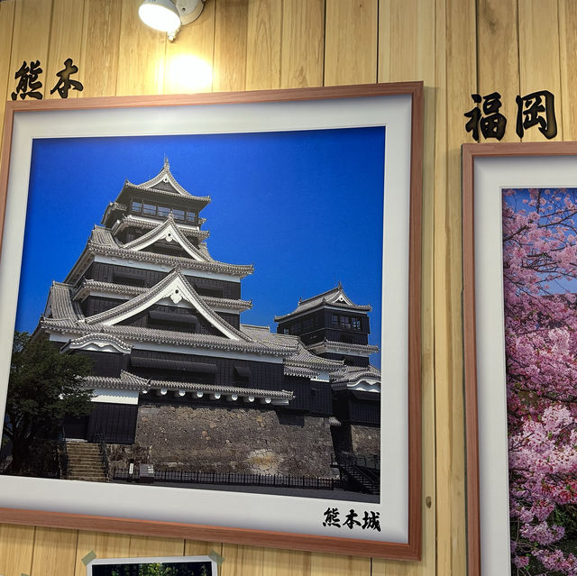熊本熊宮崎犬去香港書展2023年🥰