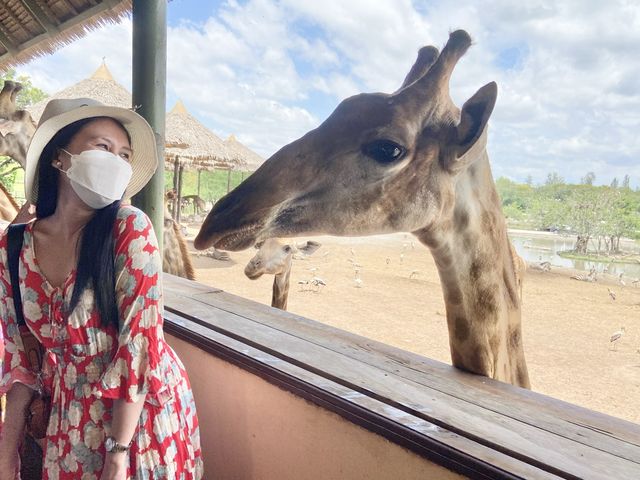 Safari Mode 🦒