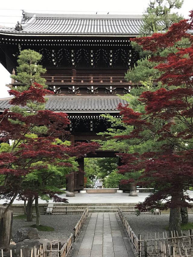 【京都】こんな大仏見たことない！アフロ大仏をご紹介