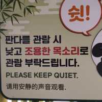 앞으로 에버랜드 푸바오 가족 5분만 볼 수 있다🐼