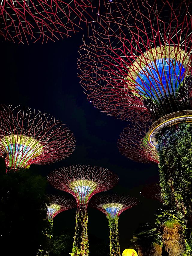 Stunning Supertrees at night✨