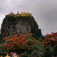 Mount Popa 🏔️ 🌺 