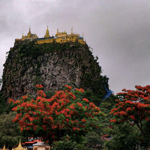Mount Popa 🏔️ 🌺 