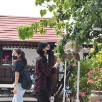  วัดหงษ์ทอง ฉะเชิงเทรา 
