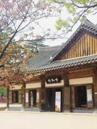 [Tradition Korean Culture]⭐️National Park⭐️