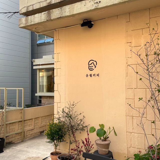 【韓国】まるで庭園にいるかのようなカフェ🌵