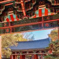 Great to see Jeonju Hanok Village in autumn