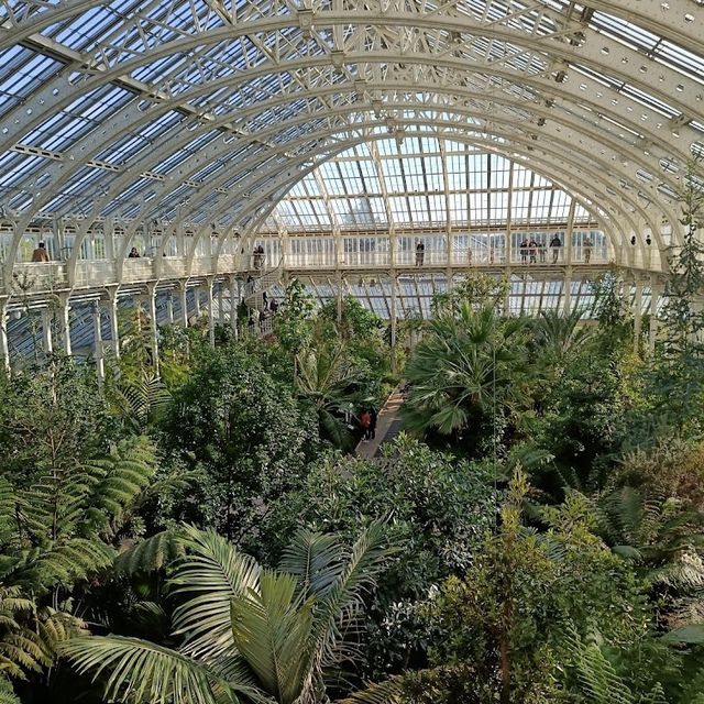 Blooms and Beyond: A Botanical Extravaganza