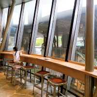 Starbucks at River Wonders