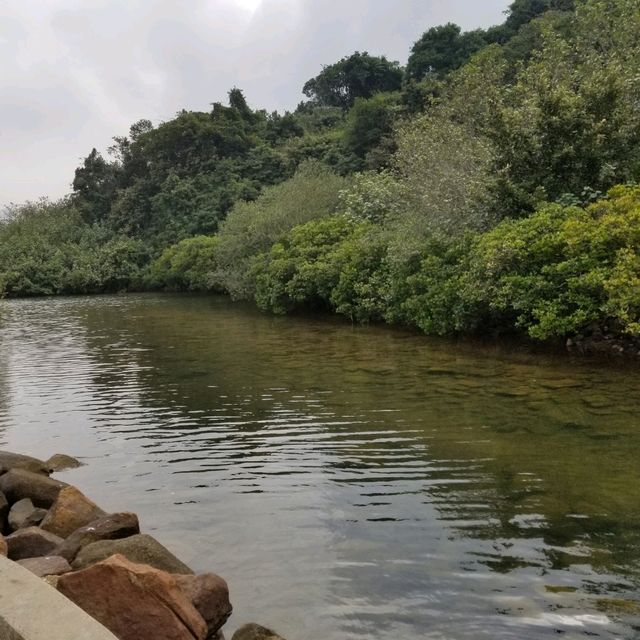 西貢郊遊~西貢郊野公園~好山好水好心情