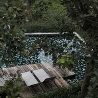 The Peri Hotel Khao Yai โอบล้อมด้วยภูเขาอากาศดีมาก