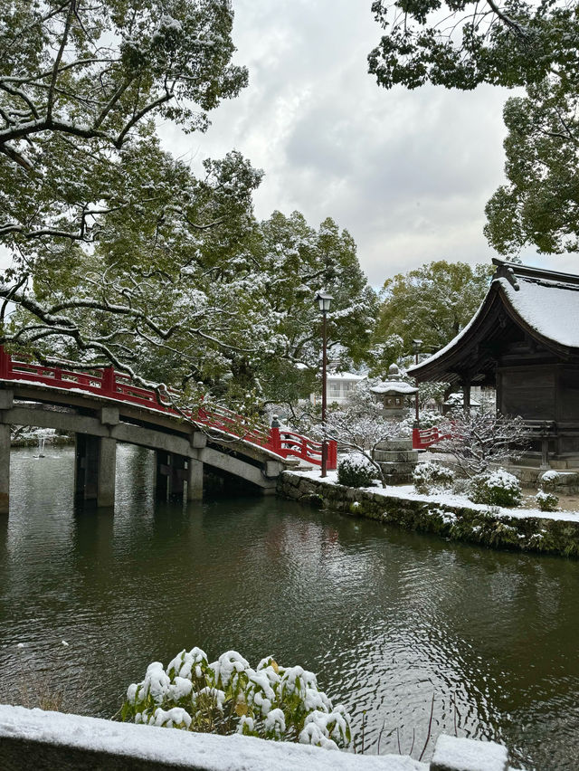 눈세상이었던 다자이후 텐만구❄️