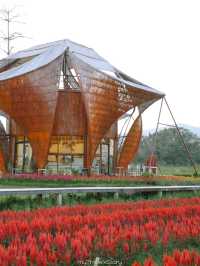Bliss & Bloom Cafe ทับลาน