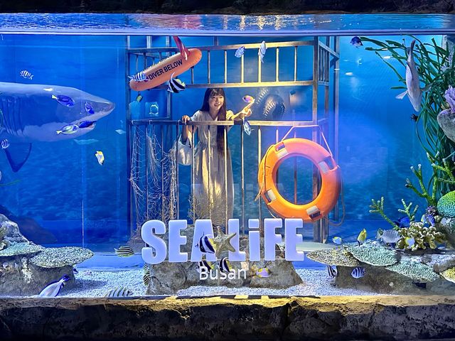 부산에 하나뿐인 아쿠아리움🐳