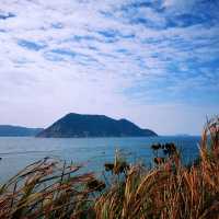 鶴咀海岸遊