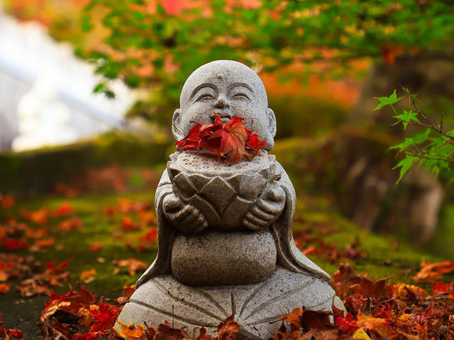 Eigen Temple.(Autumn maple leaves temple.)