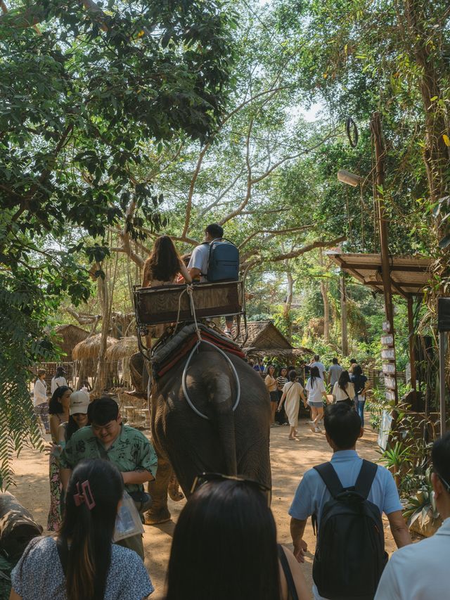 파타야 핫플 코끼리가 살고있는 몽창카페 🐘