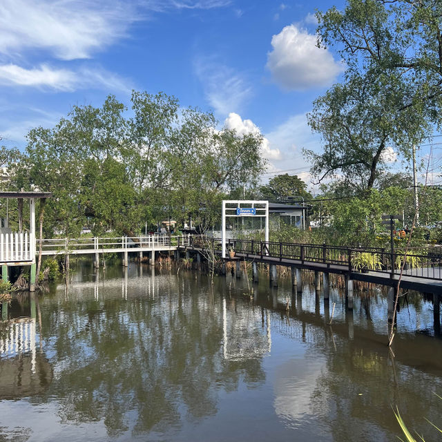 ป่าชายเลนกลางเมืองจันทบุรี ที่เรือนจันท์แลนด์