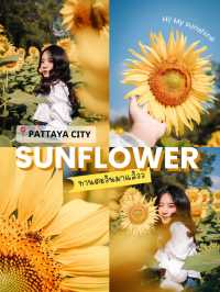 ไปถ่ายรูปกับดอกทานตะวันด้วยกันมั้ย🌻