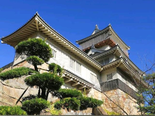 Iwasaki Castle Ruins Park