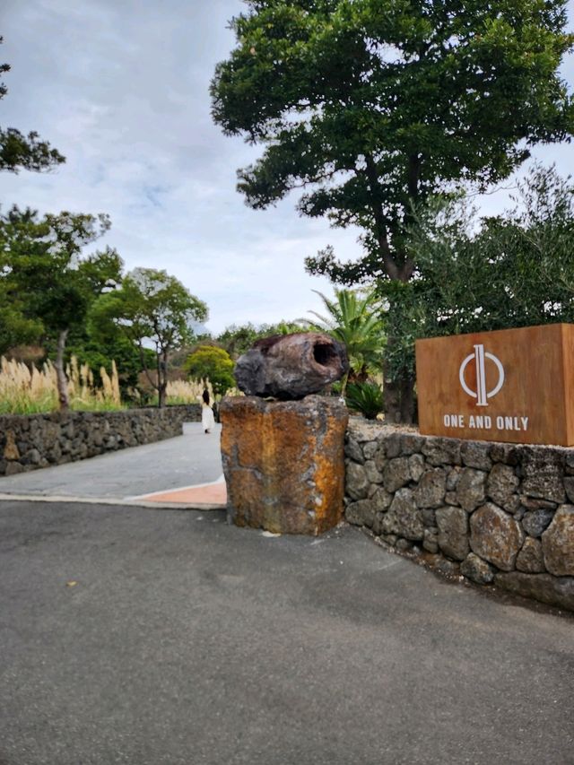 겨울 제주도 여행가서 바다와 산방산을 한방에 윈앤온리 카페❤️